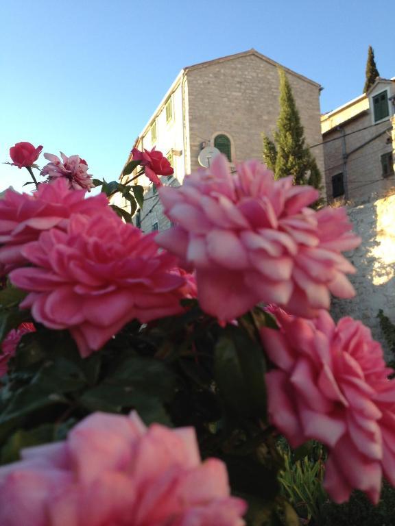 Apartments Kokolo Šibenik Buitenkant foto